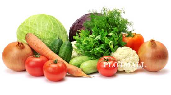 List of Vegetarian Recipes for Malayalees in Kerala