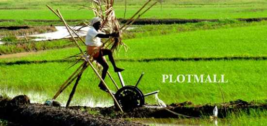 Organic Stores / Shops / Farms in Alappuzha, Cherthala