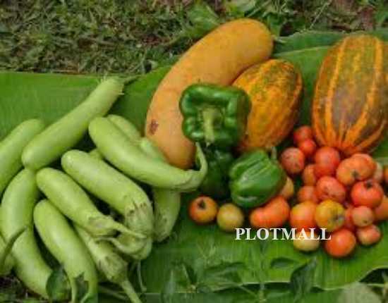 Organic Stores / Shops / Farms in Wayanad, Mananthavady