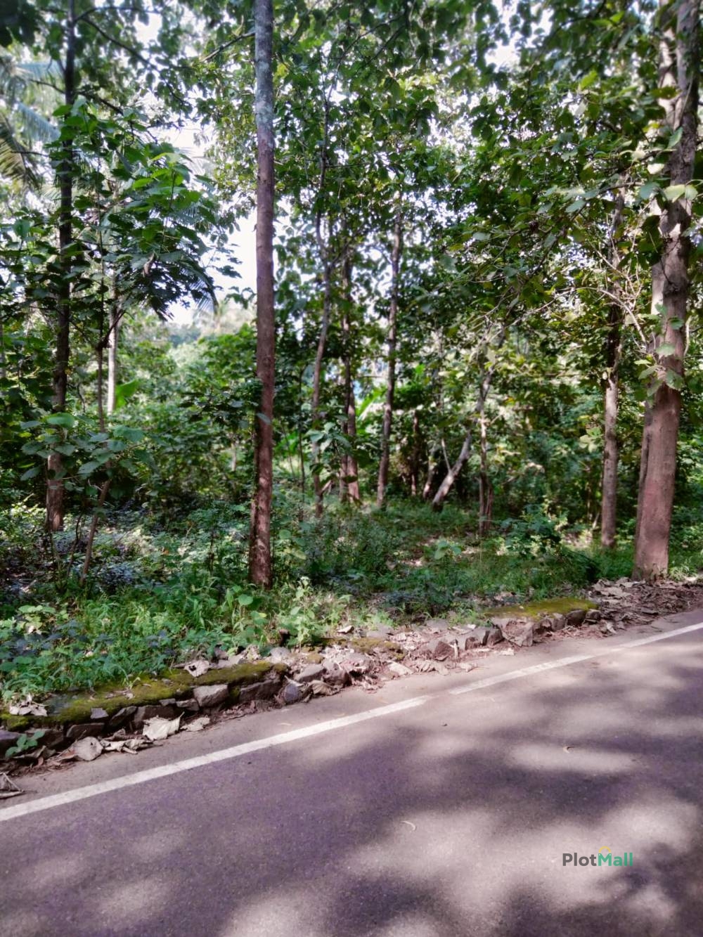 Residential Land for Sale in Varkala, Kerala, India, Varkala