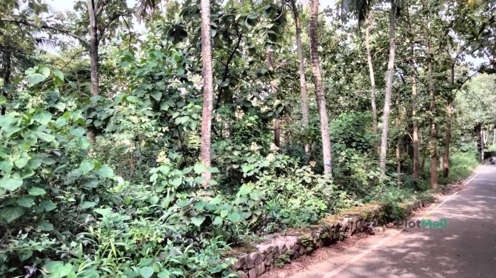 Residential Land for Sale in Chemmaruthy, Kerala, India, Chemmaruthy