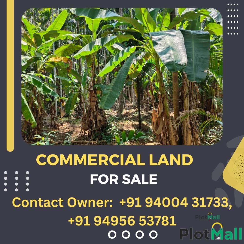 Commercial Land for Sale in Panathady Near Panathady, Kerala, India, (Kasaragod) Price 80,000