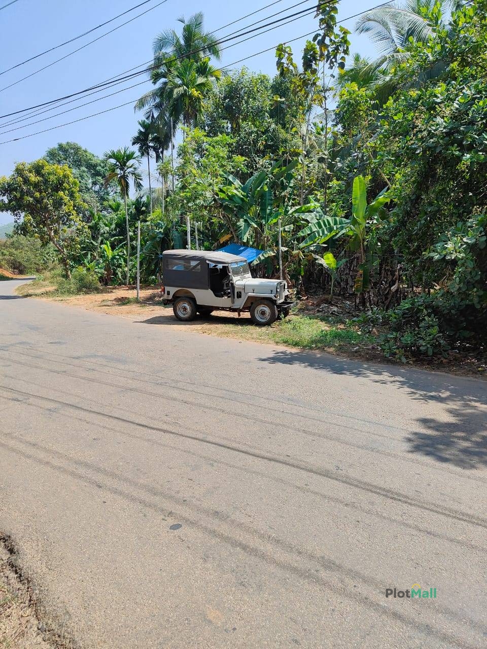 Commercial Land for Sale in Panathady Near Panathady, Kerala, India