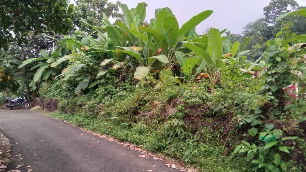 Residential Land for Sale in Mambra, Kerala, India, Mambra