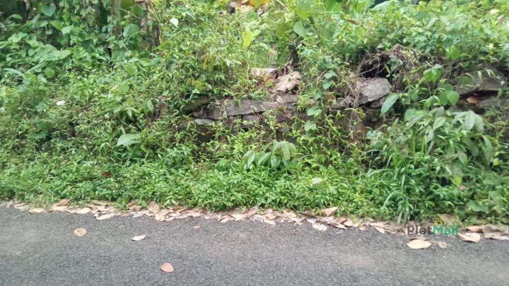 Residential Land for Sale in Mambra, Kerala, India, Mambra