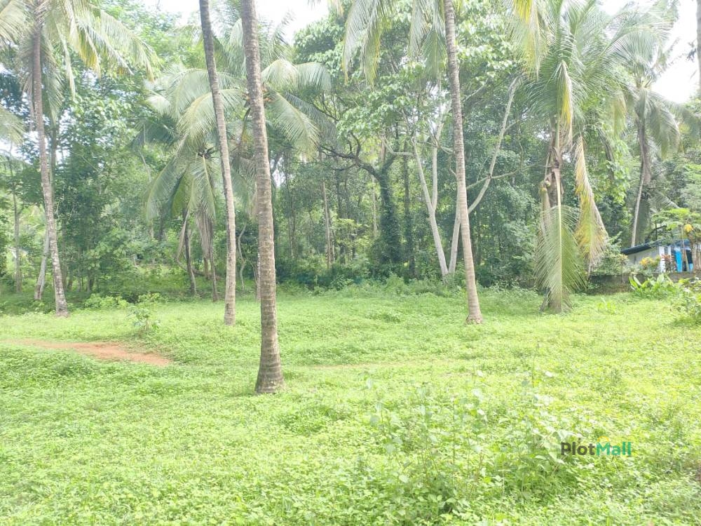 Residential Land for Sale in Nellaya, Kerala, India, Nellaya