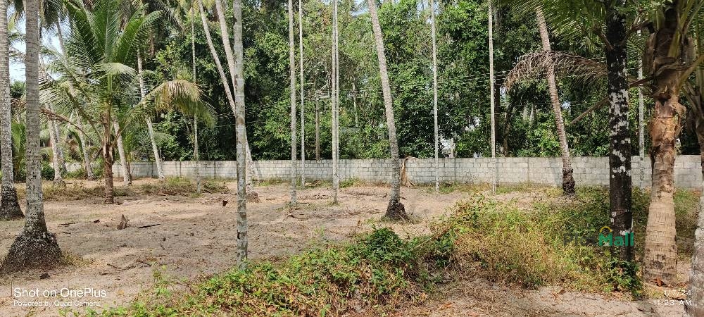 Residential Land for Sale in Alathiyoor, Triprangode, Kerala, India, Alathiyoor