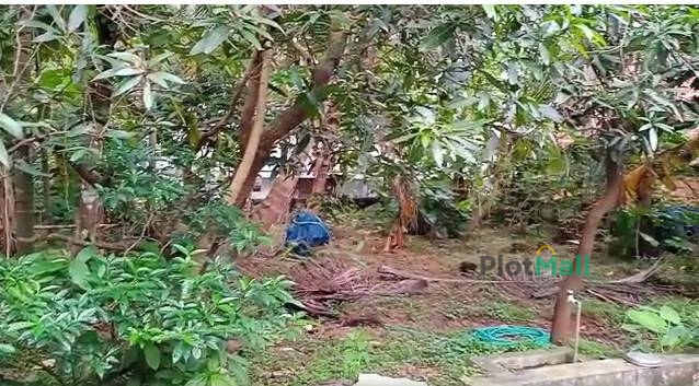 Residential Land for Sale in Peralassery, Kannur