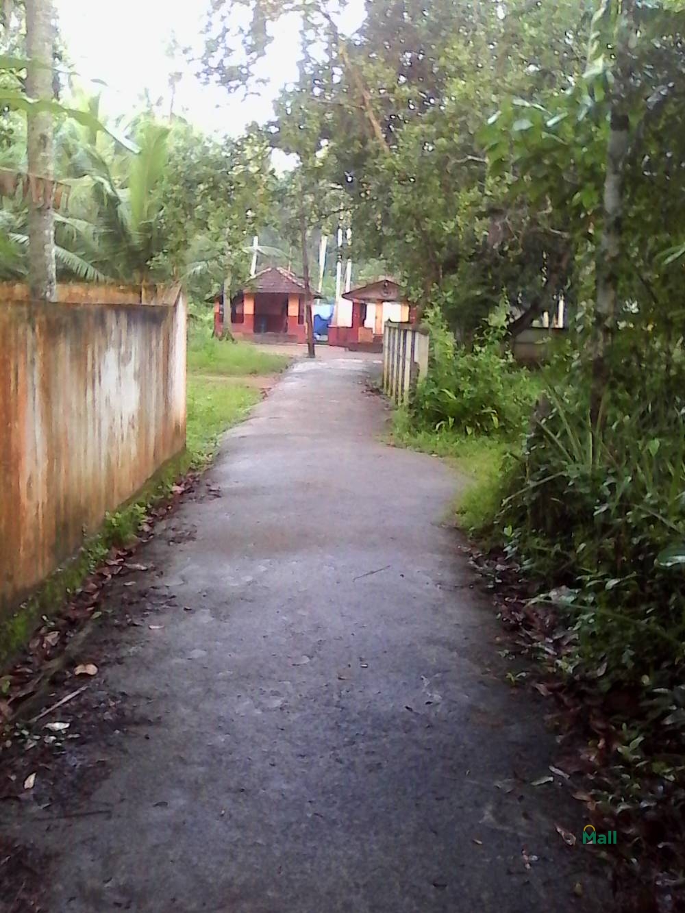 Residential Land for Sale in Bharnikavu Village, Kayamkulam