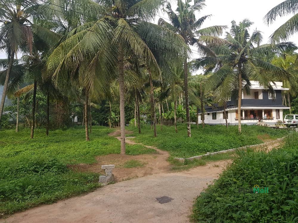 Residential Land for Sale in Palayamkunnu, Parippally