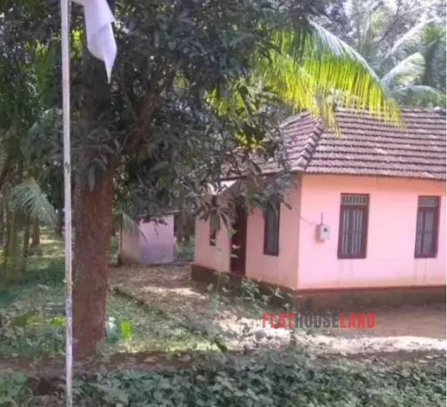 Residential Land for Sale in Kumbazha/pathanamthitta, Pathanamthitta