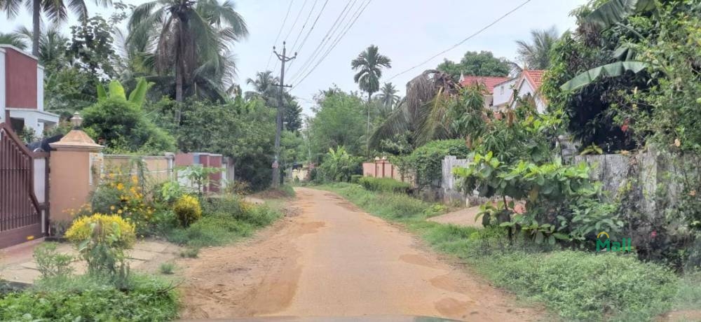 Residential Land for Sale in Karadiyampara, Kalapara, Palakkad