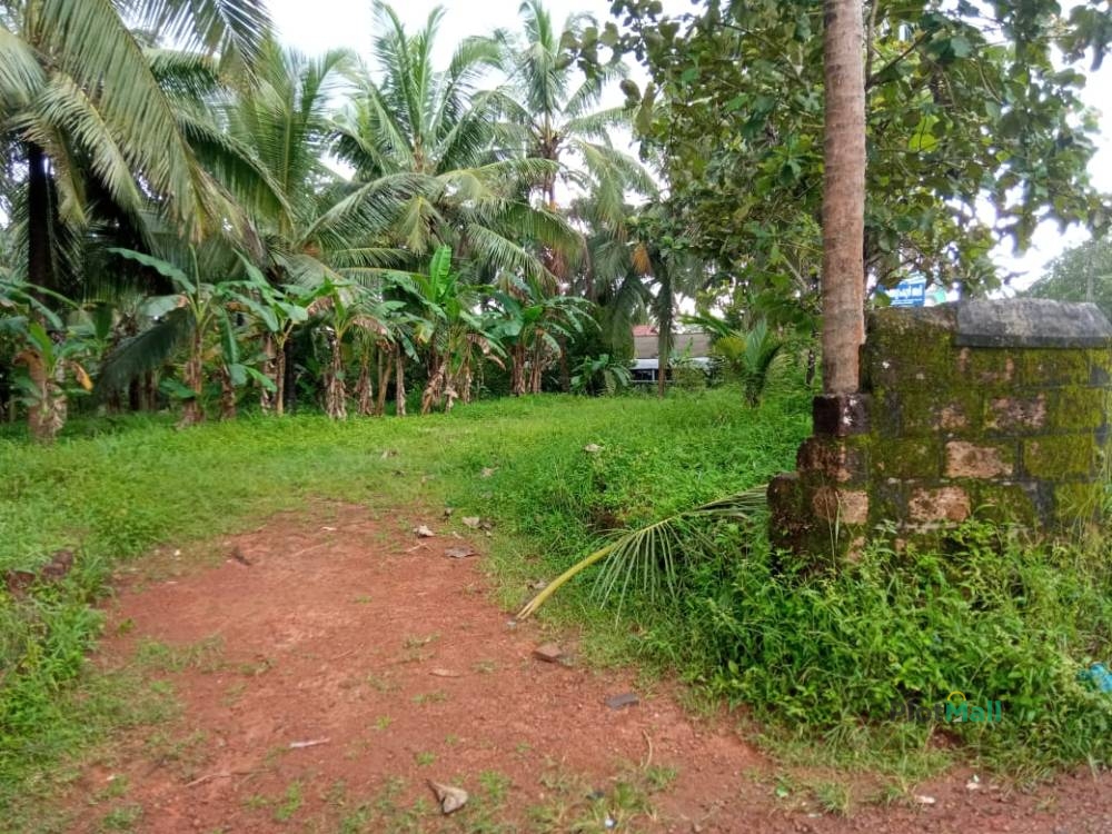 Residential Land for Sale in Kamburam Juma Masjid, Near Thootha, Vellinezhi