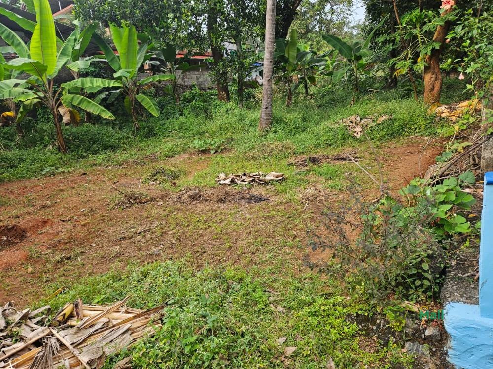 Residential Land for Sale in Ayyanthole, Thrissur, Kerala, India, Ayyanthole