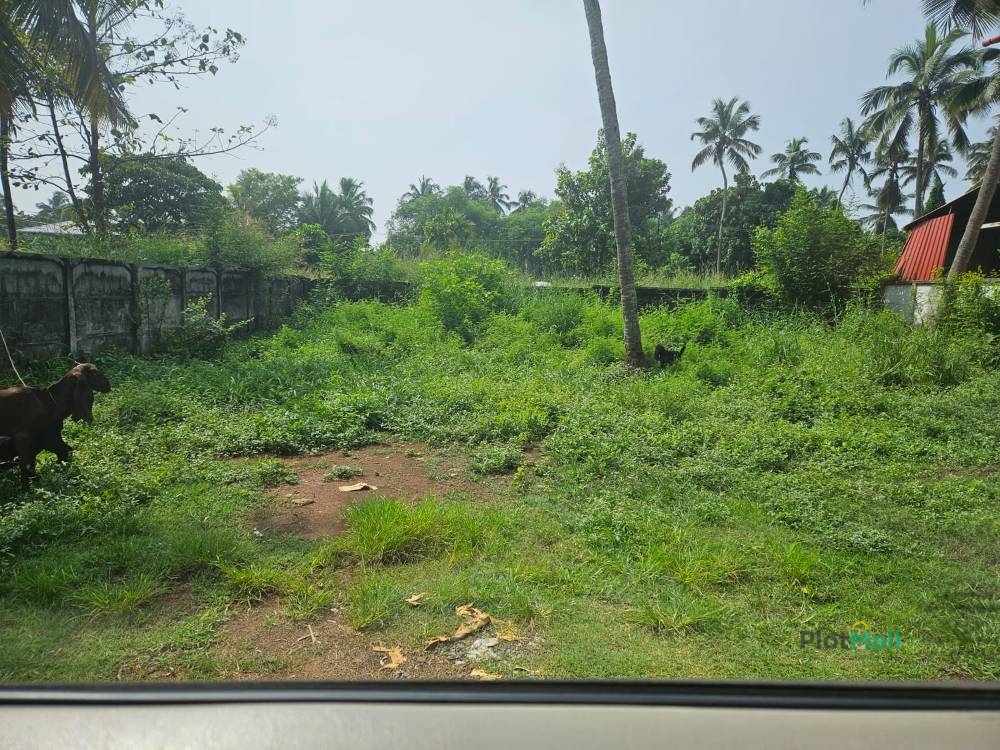Residential Land for Sale in Ollur, Thrissur, Kerala, India, Ollur