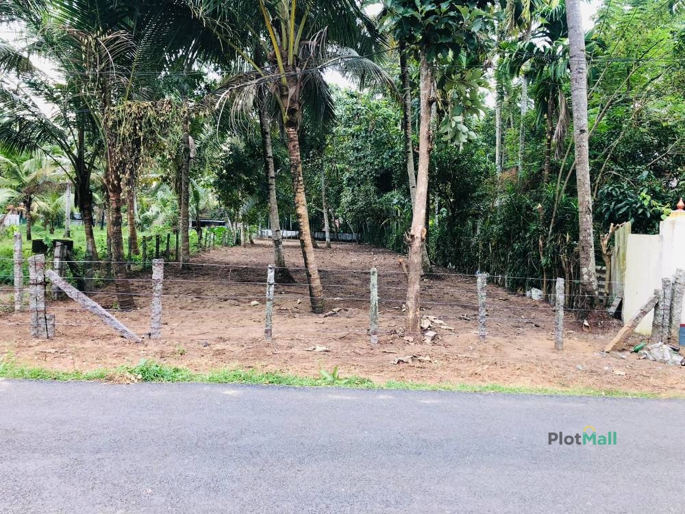 Residential Land for Sale in Pwd Road Kannamangalam, Kannamangalam